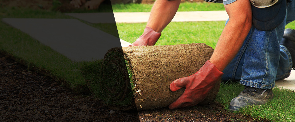 Newburyport Landscapers